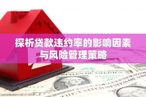 梧州探析贷款违约率的影响因素与风险管理策略