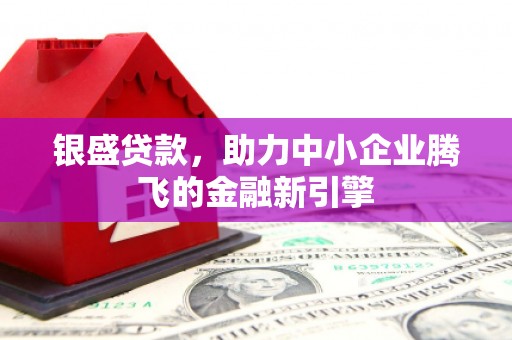 梧州银盛贷款，助力中小企业腾飞的金融新引擎