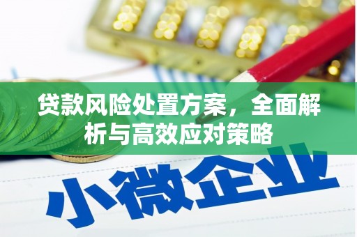 梧州贷款风险处置方案，全面解析与高效应对策略