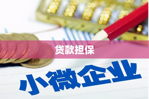 梧州贷款担保