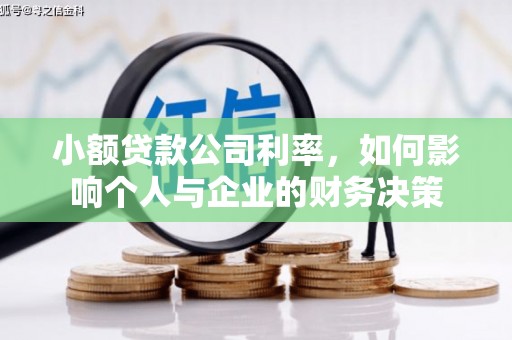 梧州小额贷款公司利率，如何影响个人与企业的财务决策