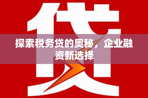 梧州探索税务贷的奥秘，企业融资新选择