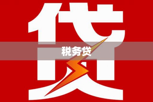 梧州税务贷