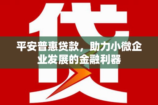 梧州平安普惠贷款，助力小微企业发展的金融利器