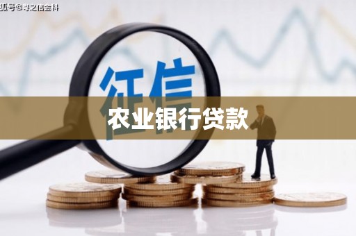 梧州农业银行贷款