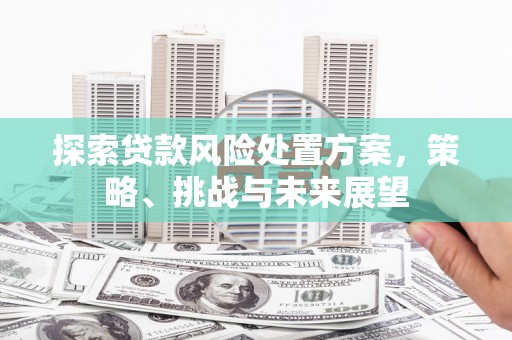 梧州探索贷款风险处置方案，策略、挑战与未来展望