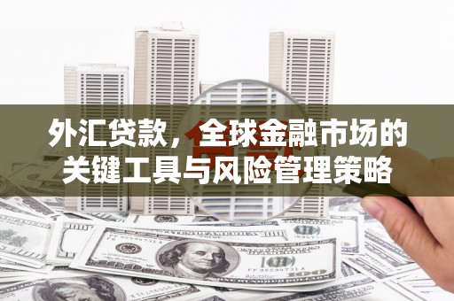 梧州外汇贷款，全球金融市场的关键工具与风险管理策略
