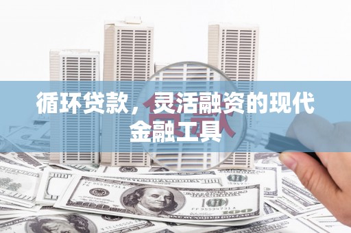 梧州循环贷款，灵活融资的现代金融工具