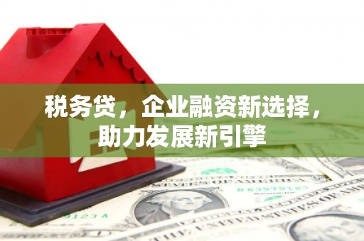 梧州税务贷，企业融资新选择，助力发展新引擎