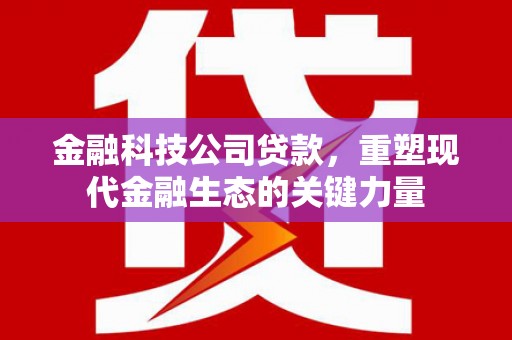 梧州金融科技公司贷款，重塑现代金融生态的关键力量