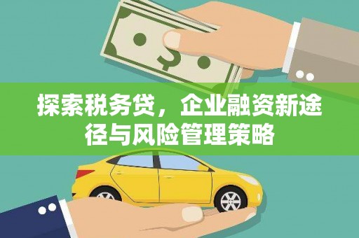 梧州探索税务贷，企业融资新途径与风险管理策略
