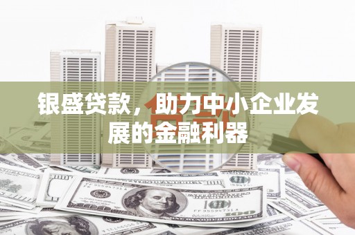 梧州银盛贷款，助力中小企业发展的金融利器