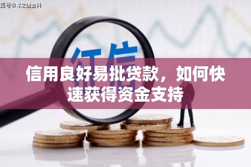 梧州信用良好易批贷款，如何快速获得资金支持