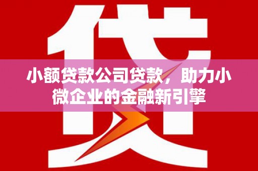 梧州小额贷款公司贷款，助力小微企业的金融新引擎