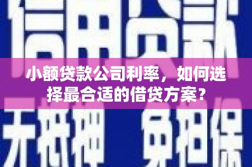 梧州小额贷款公司利率，如何选择最合适的借贷方案？