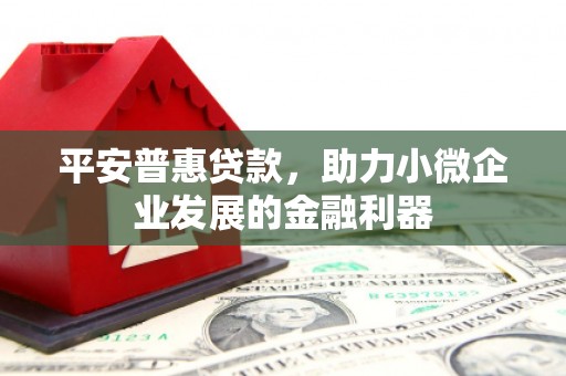 梧州平安普惠贷款，助力小微企业发展的金融利器