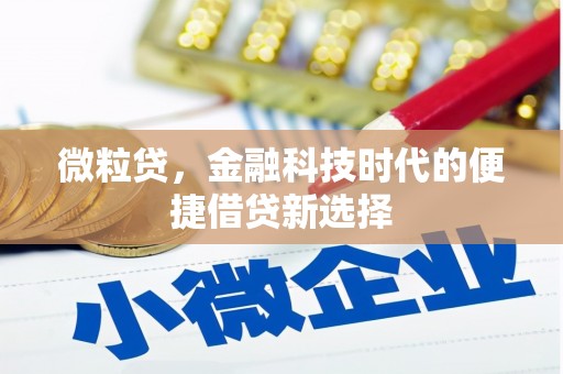 梧州微粒贷，金融科技时代的便捷借贷新选择