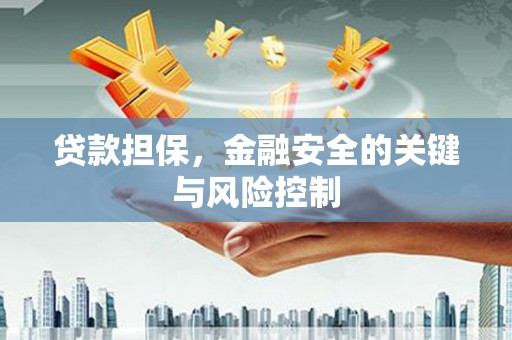梧州贷款担保，金融安全的关键与风险控制