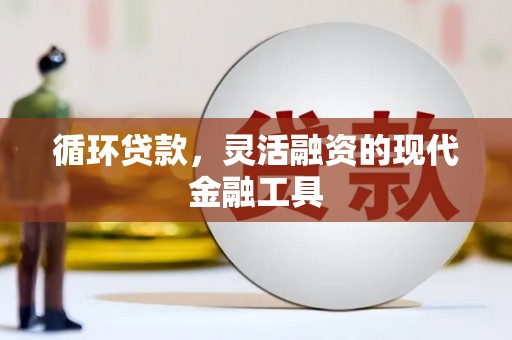 梧州循环贷款，灵活融资的现代金融工具