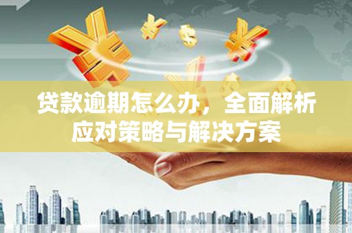 梧州贷款逾期怎么办，全面解析应对策略与解决方案