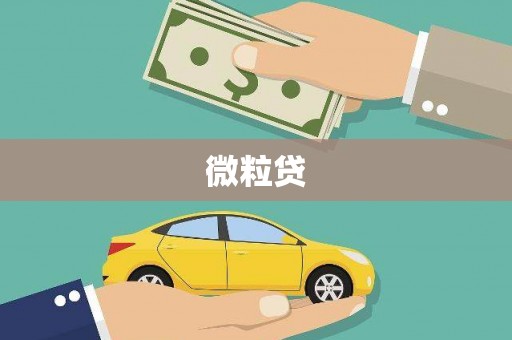 梧州微粒贷