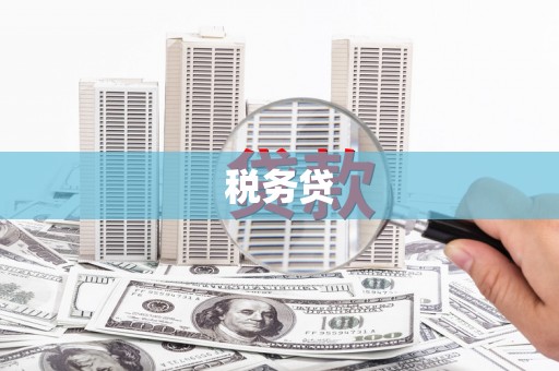 梧州税务贷