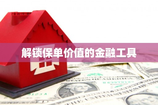 梧州解锁保单价值的金融工具