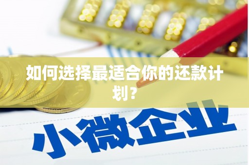 梧州如何选择最适合你的还款计划？