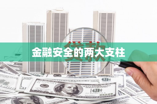 梧州金融安全的两大支柱