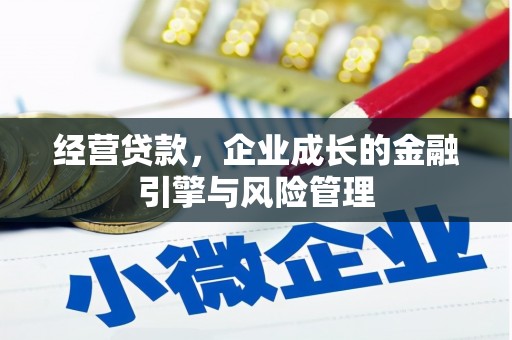 梧州经营贷款，企业成长的金融引擎与风险管理