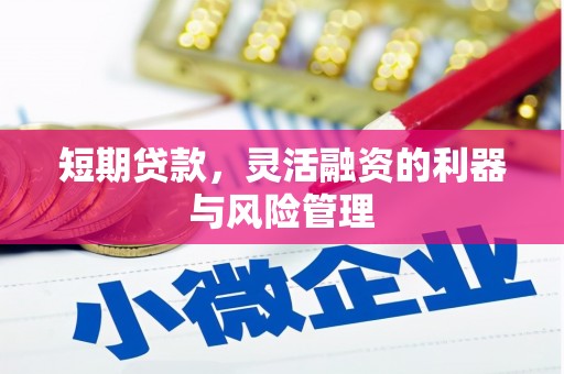 梧州短期贷款，灵活融资的利器与风险管理