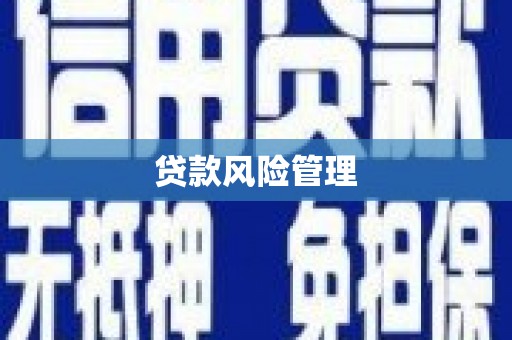 梧州贷款风险管理