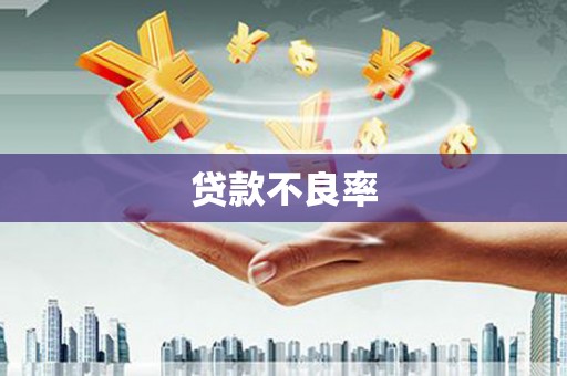 梧州贷款不良率